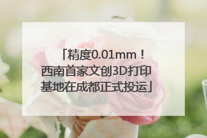 精度0.01mm！西南首家文创3D打印基地在成都正式投运