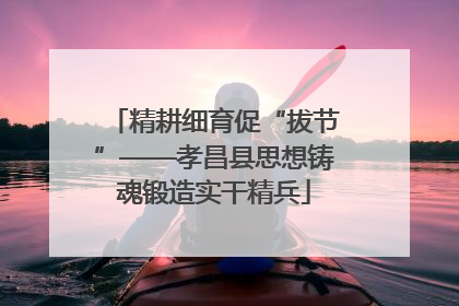 精耕细育促“拔节”——孝昌县思想铸魂锻造实干精兵