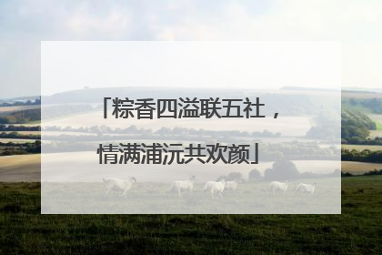 粽香四溢联五社，情满浦沅共欢颜