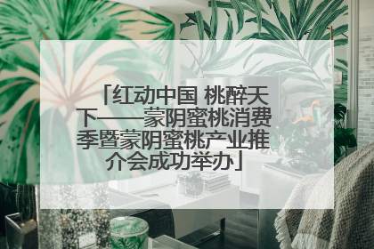 红动中国 桃醉天下——蒙阴蜜桃消费季暨蒙阴蜜桃产业推介会成功举办