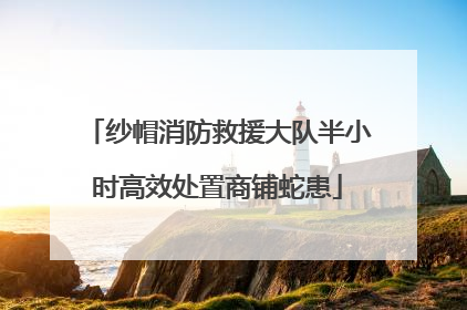 纱帽消防救援大队半小时高效处置商铺蛇患