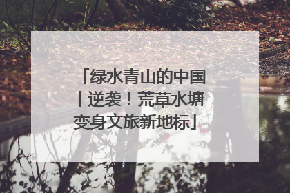 绿水青山的中国丨逆袭！荒草水塘变身文旅新地标