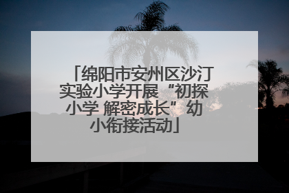 绵阳市安州区沙汀实验小学开展“初探小学 解密成长”幼小衔接活动
