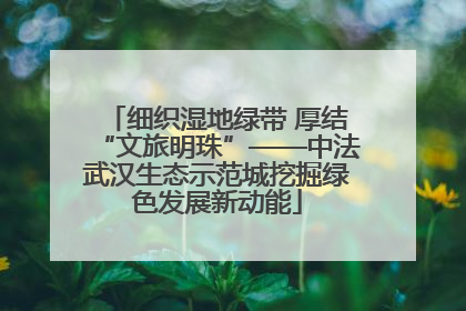 细织湿地绿带 厚结“文旅明珠”——中法武汉生态示范城挖掘绿色发展新动能