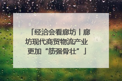 经洽会看廊坊丨廊坊现代商贸物流产业更加“筋强骨壮”