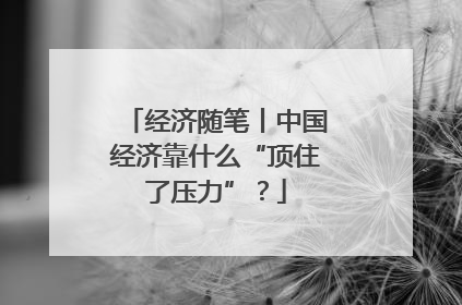 经济随笔丨中国经济靠什么“顶住了压力”？