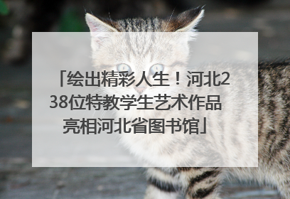 绘出精彩人生！河北238位特教学生艺术作品亮相河北省图书馆