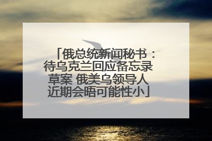 俄总统新闻秘书：待乌克兰回应备忘录草案 俄美乌领导人近期会晤可能性小