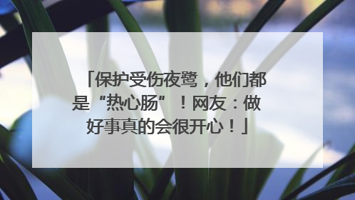 保护受伤夜鹭，他们都是“热心肠”！网友：做好事真的会很开心！