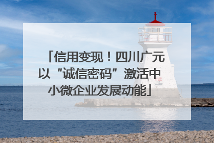 信用变现！四川广元以“诚信密码”激活中小微企业发展动能