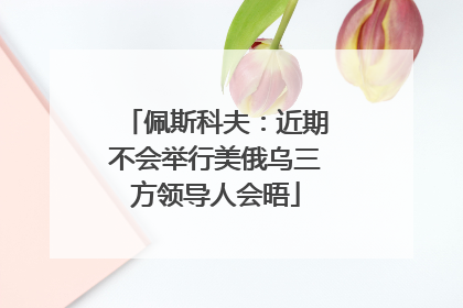 佩斯科夫：近期不会举行美俄乌三方领导人会晤