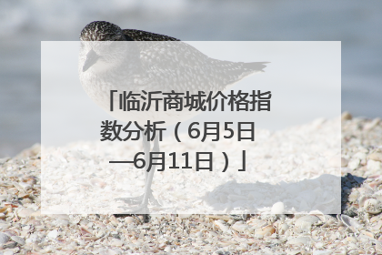 临沂商城价格指数分析（6月5日—6月11日）