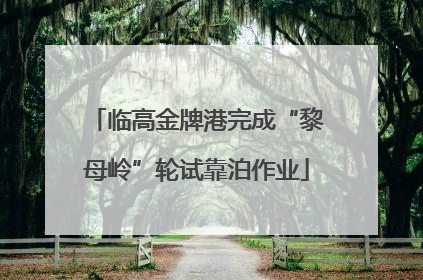 临高金牌港完成“黎母岭”轮试靠泊作业