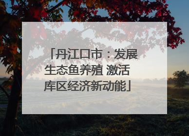 丹江口市：发展生态鱼养殖 激活库区经济新动能