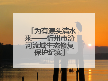 为有源头清水来——忻州市汾河流域生态修复保护纪实
