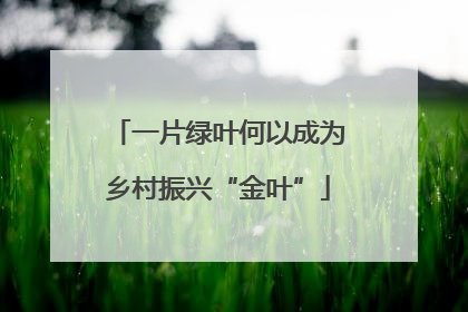 一片绿叶何以成为乡村振兴“金叶”