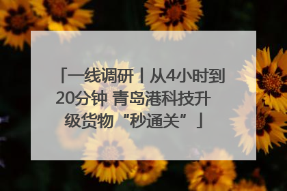 一线调研丨从4小时到20分钟 青岛港科技升级货物“秒通关”