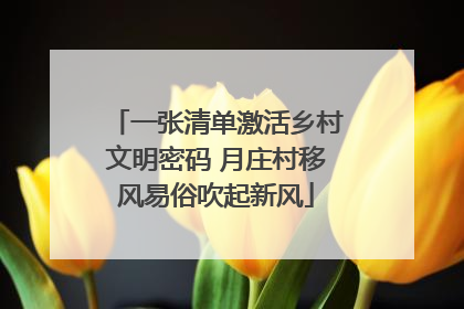 一张清单激活乡村文明密码 月庄村移风易俗吹起新风