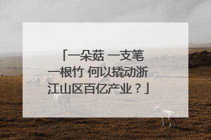 一朵菇 一支笔 一根竹 何以撬动浙江山区百亿产业？