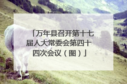 万年县召开第十七届人大常委会第四十四次会议（图）