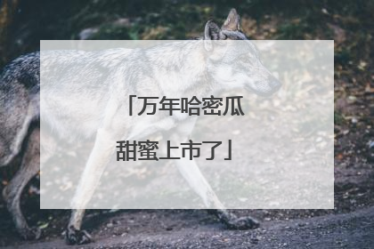 万年哈密瓜甜蜜上市了
