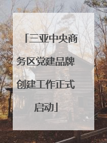 三亚中央商务区党建品牌创建工作正式启动