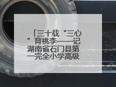 三十载“三心”育桃李——记湖南省石门县第一完全小学高级教师覃玲君