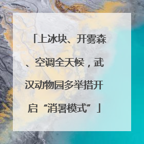 上冰块、开雾森、空调全天候，武汉动物园多举措开启“消暑模式”