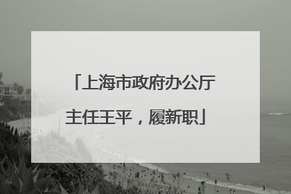 上海市政府办公厅主任王平，履新职