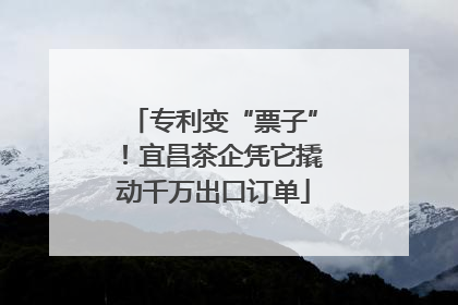 专利变“票子”！宜昌茶企凭它撬动千万出口订单