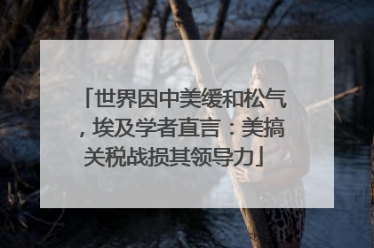 世界因中美缓和松气，埃及学者直言：美搞关税战损其领导力