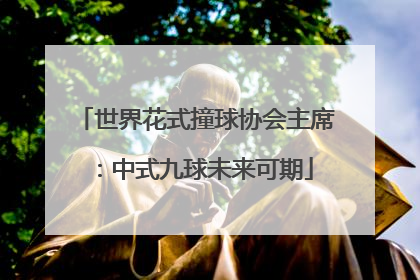 世界花式撞球协会主席：中式九球未来可期