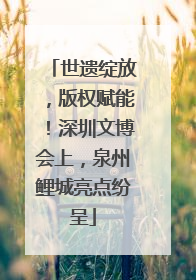 世遗绽放，版权赋能！深圳文博会上，泉州鲤城亮点纷呈