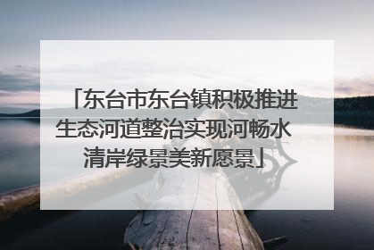 东台市东台镇积极推进生态河道整治实现河畅水清岸绿景美新愿景