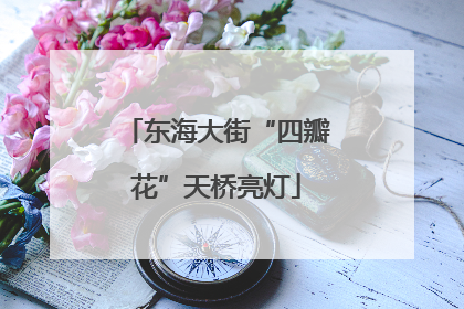 东海大街“四瓣花”天桥亮灯