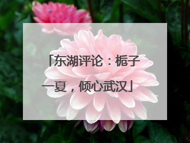 东湖评论：栀子一夏，倾心武汉