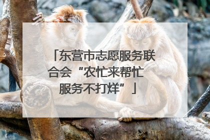 东营市志愿服务联合会“农忙来帮忙 服务不打烊”