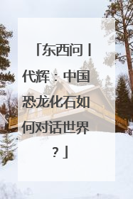 东西问丨代辉：中国恐龙化石如何对话世界？