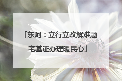 东阿：立行立改解难题 宅基证办理暖民心