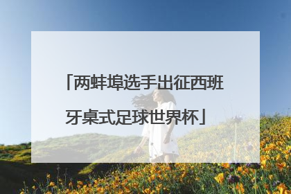 两蚌埠选手出征西班牙桌式足球世界杯