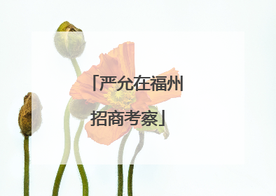 严允在福州招商考察