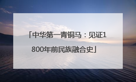 中华第一青铜马：见证1800年前民族融合史