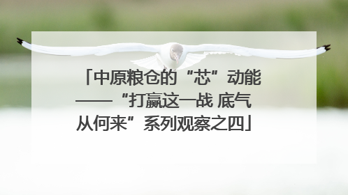 中原粮仓的“芯”动能——“打赢这一战 底气从何来”系列观察之四
