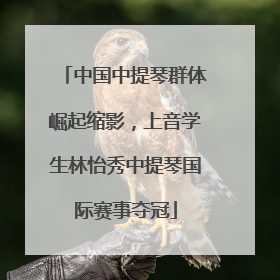 中国中提琴群体崛起缩影，上音学生林怡秀中提琴国际赛事夺冠