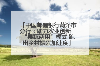 中国邮储银行菏泽市分行：助力农业创新 “果蔬两用”模式 跑出乡村振兴加速度