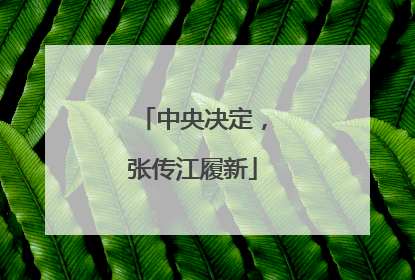中央决定，张传江履新