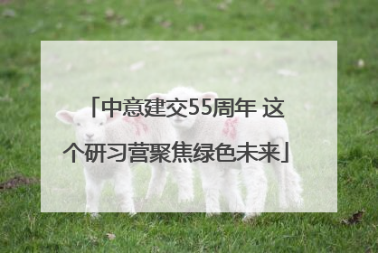 中意建交55周年 这个研习营聚焦绿色未来