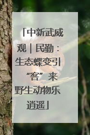 中新武威观｜民勤：生态蝶变引“客”来 野生动物乐逍遥