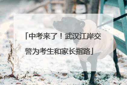 中考来了！武汉江岸交警为考生和家长指路