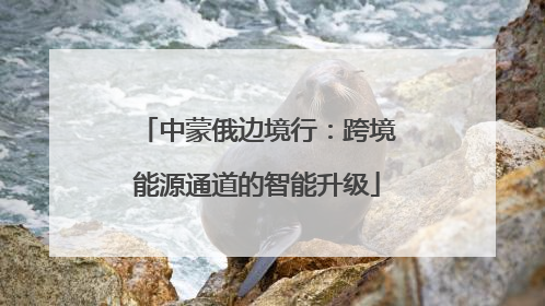 中蒙俄边境行：跨境能源通道的智能升级